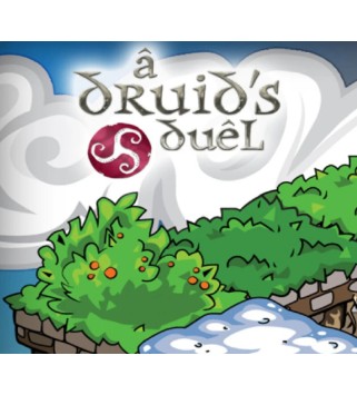 A Druid s Duel Steam Key GLOBAL